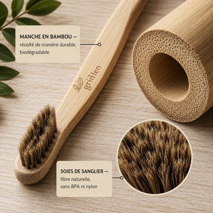 Brosses a dent en Bambou poils naturelles